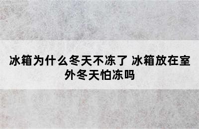 冰箱为什么冬天不冻了 冰箱放在室外冬天怕冻吗